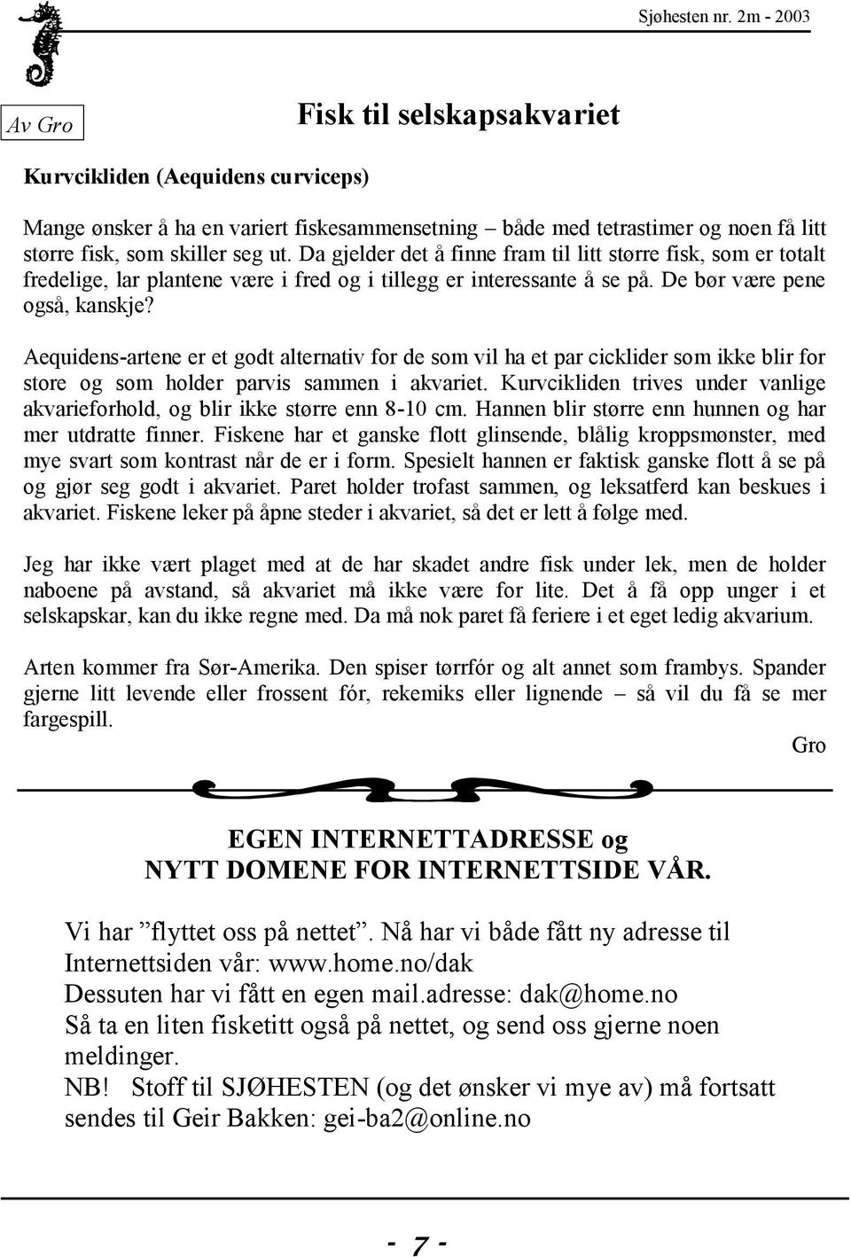 Aequidens-artene er et godt alternativ for de som vil ha et par cicklider som ikke blir for store og som holder parvis sammen i akvariet.