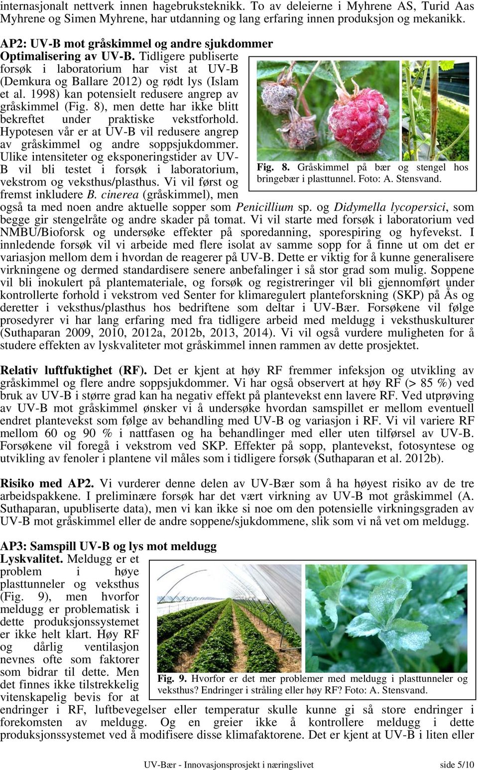 1998) kan potensielt redusere angrep av gråskimmel (Fig. 8), men dette har ikke blitt bekreftet under praktiske vekstforhold.