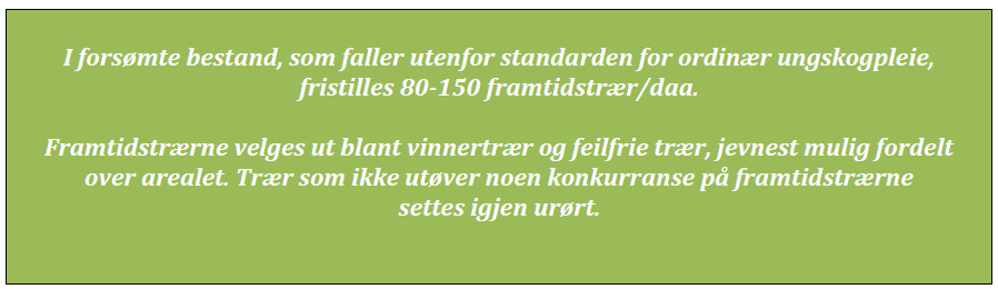 Standard for bestand med ordinært ungskogpleiebehov Standard for bestand med etterslep i ungskogpleien Ungskogpleie på