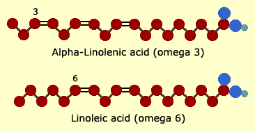 VIKTIGE FEITTSYRER I FÔR Alfa-linolensyre (omega 3 eller n 3 feittsyre)