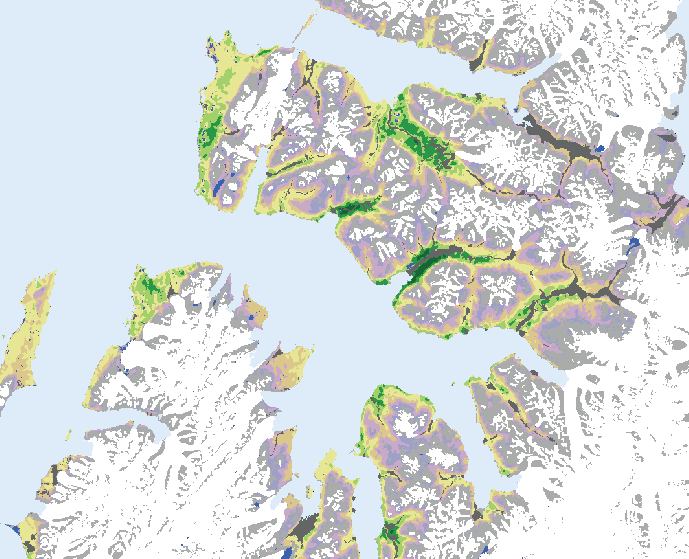 flekkvis langs vest-sørvest kysten av Spitsbergen og ellers flekkvis ved Wijdefjorden. Hele 73,4 % av det vegeterte areal har start på sesongen etter 1. juli.