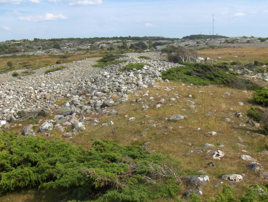 Landskap i endring områder under marin grense har gjennomgått størst endring Leirrike sedimenter Strandavsetninger SØ-Norge: under ~200 moh