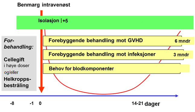 infeksjoner. Både bakterielle infeksjoner, men også sopp og reaktive latent virus kan fremkalle infeksjoner.