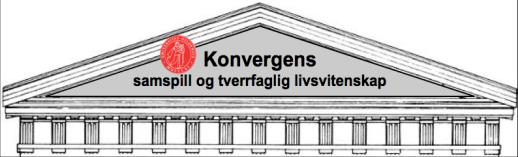 for å utforske komplekse problemområder: «Convergence is a new paradigm that can yield critical advances in a broad array of sectors, from health care to energy, food, climate, and water».