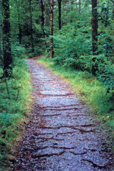 Muren ved Verksbrygga bør gjenoppføres og området bak muren må fylles opp og tilsås. 7 TRAFIKKAREALER/INSTALASJONER 7.1 Veger Veiene i Furulunden er for det meste grusveier med bredde på 2-3m.