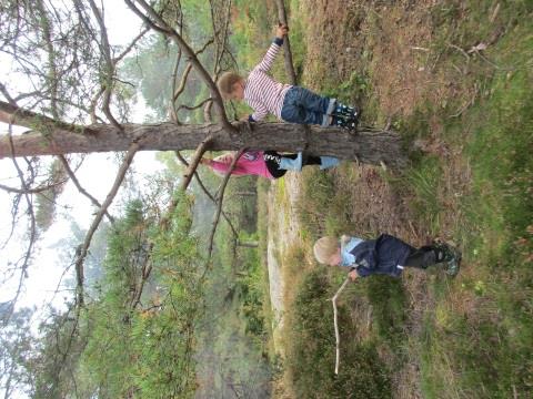 De voksne som er på denne gruppa er Hege (Gullhår), Mette (Askeladden) og Susanne(Askeladden, lærling). Denne måneden har vi hatt kulturskole på onsdagene, dette skal vi ha helt frem til jul.