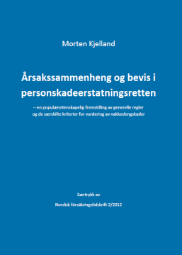 En presisering - belyst ved en ny artikkel (se side 33 34) Nærmere om vanskelig konstaterbare skader nakkeslengskader som eksempel 4