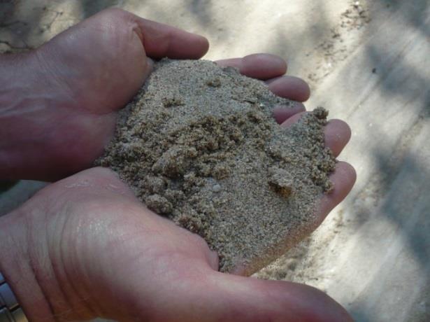 Rimstadmoen Vestfold, brønn og kilde Brønn Kilde Sandavsetning,