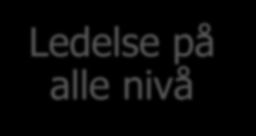Koherens i forbedringsarbeid Overordnede målsettinger og felles retning Kapasitetsbygging og utvikling av kollektive kulturer Ledelse på alle nivå Bruk