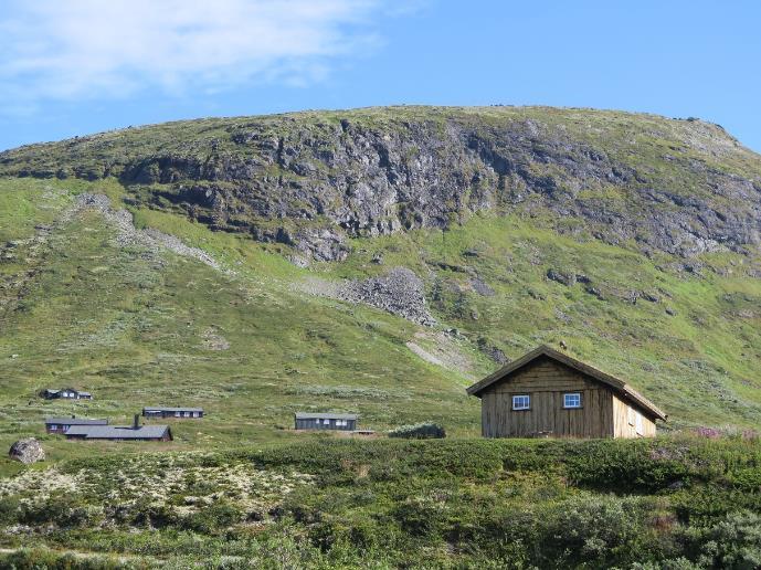 Figur 17. Vang, Gravafjellet Vest. Foto: H. Gregersen. Vang: Gravafjellet Øst UTM 32 V 463943 6805750-32 V 465078 6805862 Lokaliteten ligger i sørvendt liside, 1260-1400 moh.