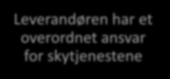 Formål Skytjenesteavtalen er særlig ment for kunder som ønsker at en leverandør skal tilpasse, utvikle og integrere standard skytjenester og andre