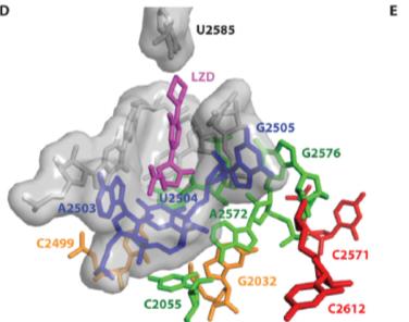 NORDICAST BRYTNINGSPUNKTER TEDIZOLID Stafylokokker og Streptokokker gr A, B, C, G MIC R > 0.