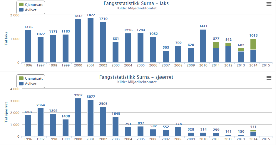 Fangststatistikken i Surna viser ein tydeleg nedgang sidan tidleg på 2000-talet for sjøauren. Fangstane av laks svingar meir, men på eit lågare nivå enn det gjorde på 1990-talet.