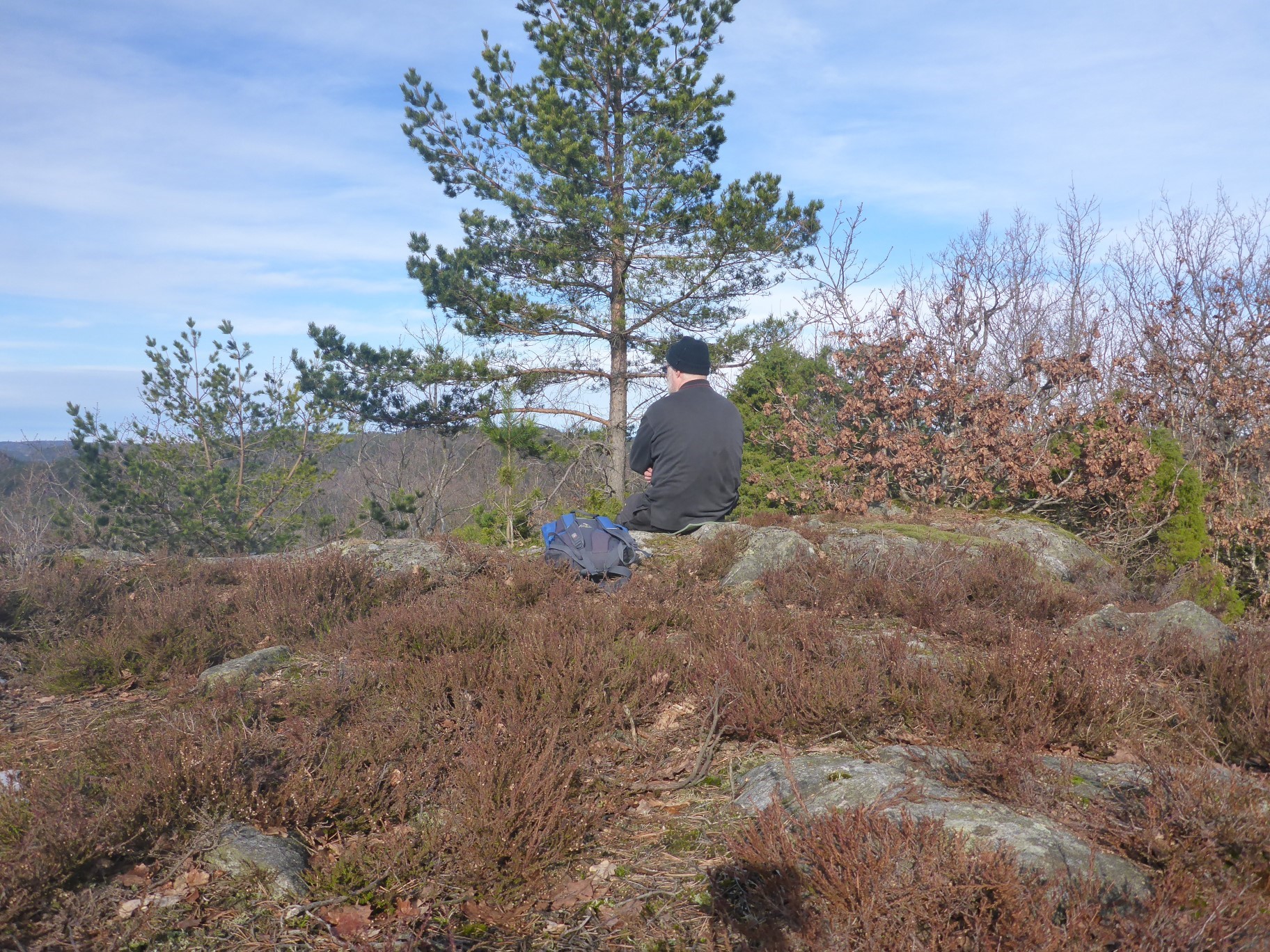 3 km èn veg 2 timer tur/retur Svak stigning Høyden Kvosten finner du på østsiden av Drangsholtvannet. Herfra har du utsikt over store skogområder, og er været klart kan du se langt til havs.