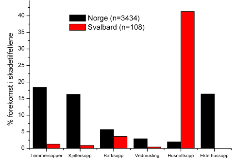 13 arter utkonkurrerer skadegjørere som er vanligere ellers. Råteskader på Svalbard er hovedsakelig forårsaket av én råtesoppart, husnettsopp (figur 5) (Mattsson m.fl. 2010, 2014). Figur 5.