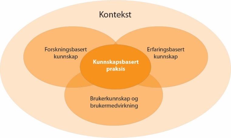 CMT og fysioterapierfaringer Tilnærmet ingen evidens fra forskning, men