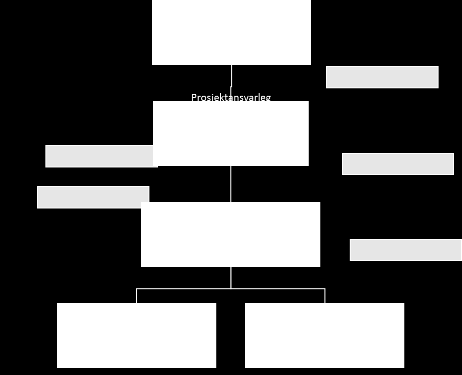 Prosjektstyret Fylkesmannen si leiargruppe skal styre prosjektet og er ansvarleg for prosjektet si samla leiing og administrasjon.