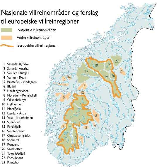 for artens framtid i Norge status som Nasjonale villreinområder. Forollhogna er et av 10 nasjonale villreinområder i Norge.