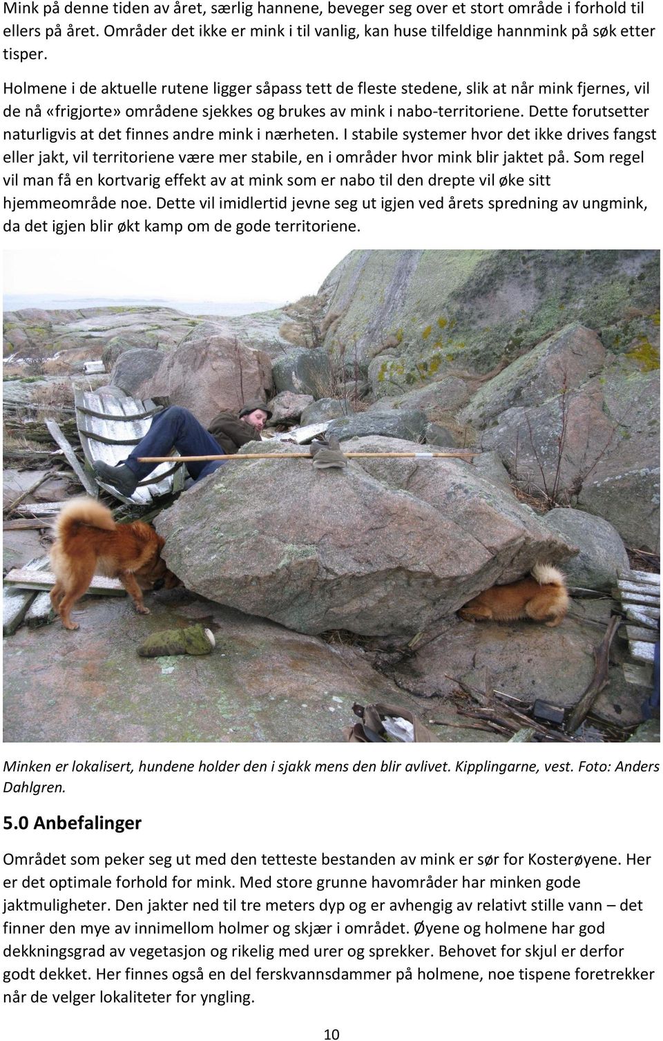 Dette forutsetter naturligvis at det finnes andre mink i nærheten. I stabile systemer hvor det ikke drives fangst eller jakt, vil territoriene være mer stabile, en i områder hvor mink blir jaktet på.