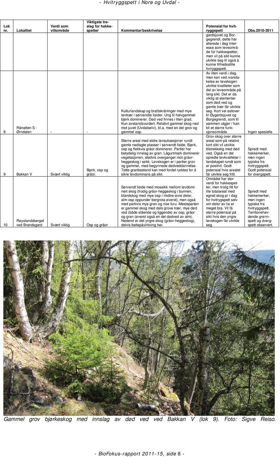 Død ved finnes i liten grad. Kun avstandsvurdert. Relativt gammel skog ned mot juvet (Uvdalselvi), bl.a. med en del grov og gammel osp.