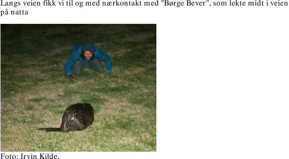 Bever", som lekte midt i