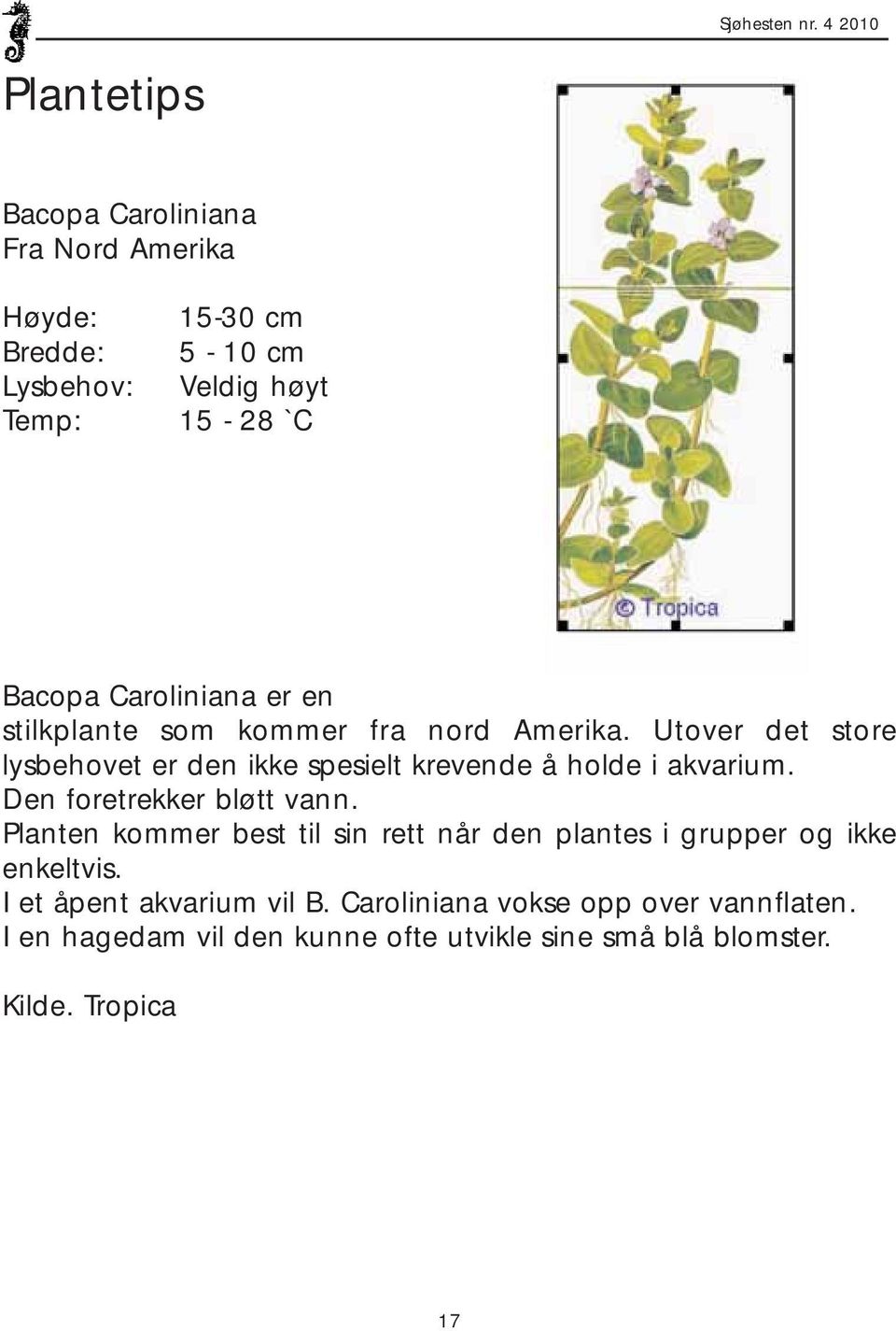 Caroliniana er en stilkplante som kommer fra nord Amerika.