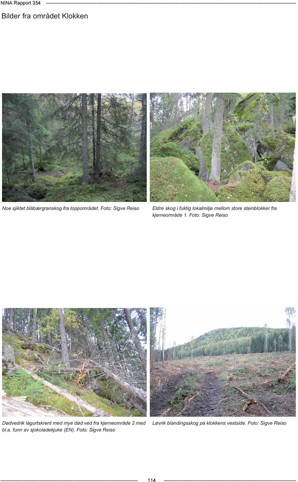 Foto: Sigve Reiso Dødvedrik lågurtskrent med mye død ved fra kjerneområde 2 med bl.a. funn av sjokoladekjuke (EN). Foto: Sigve Reiso Løvrik blandingsskog på klokkens vestside.