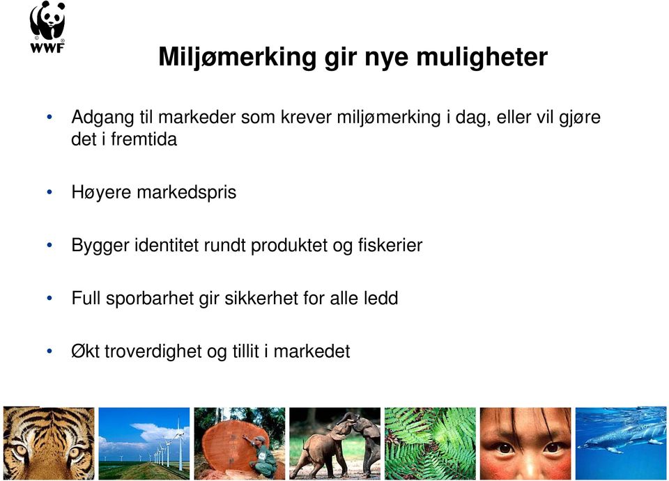 markedspris Bygger identitet rundt produktet og fiskerier Full