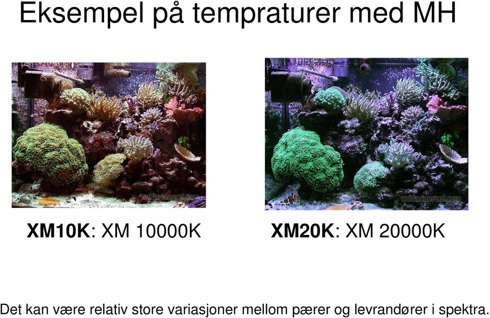 Det kan være relativ store