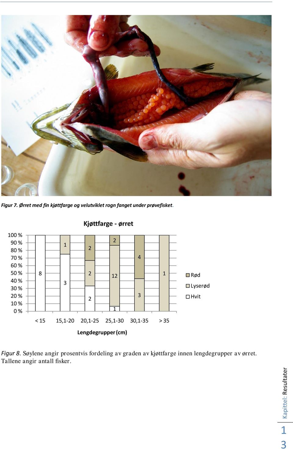 5,-30 30,-35 > 35 Lengdegrupper (cm) Rød Lyserød Hvit Figur 8.