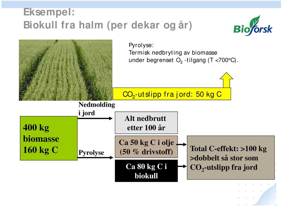 400 kg biomasse 160 kg C Nedmolding i jord Pyrolyse CO 2 -utslipp fra jord: 50 kg C Alt