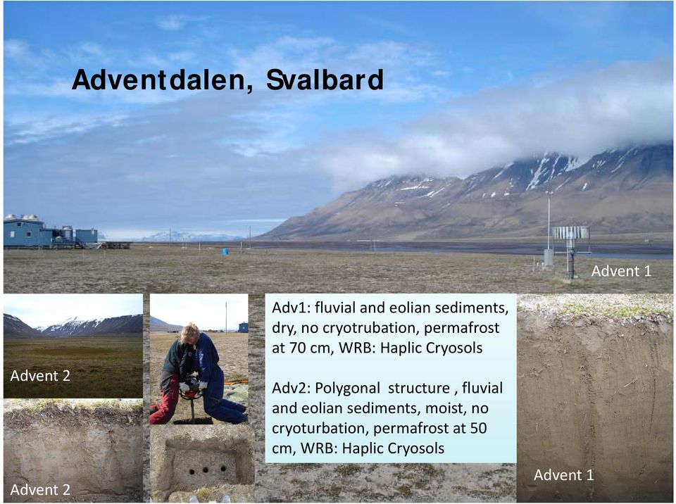 Cryosols Adv2: Polygonal structure, fluvial and eolian sediments,