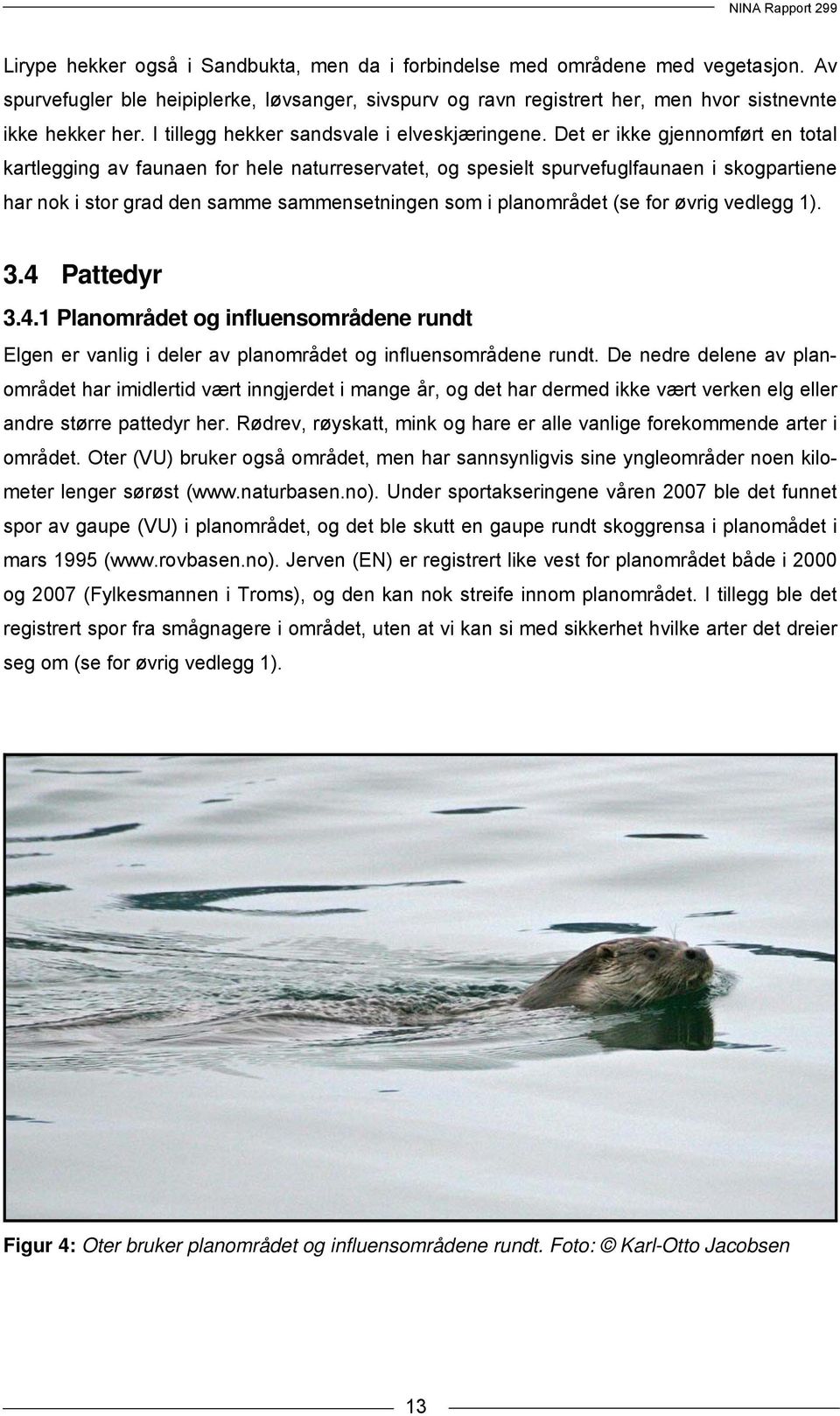 Det er ikke gjennomført en total kartlegging av faunaen for hele naturreservatet, og spesielt spurvefuglfaunaen i skogpartiene har nok i stor grad den samme sammensetningen som i planområdet (se for