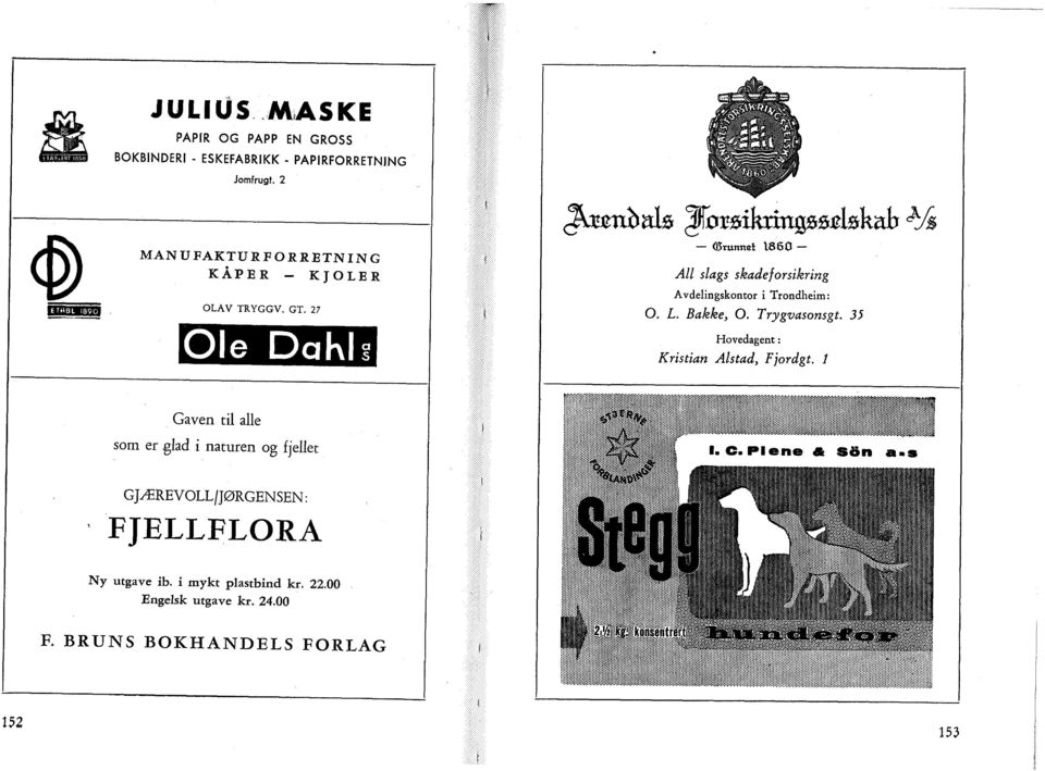 27 Ole Dahl (Ørurmet 1860 All slags skadeforsikring Avdelingskontor i Trondheim: O. L. Bakke, O. Trygvasonsgt.