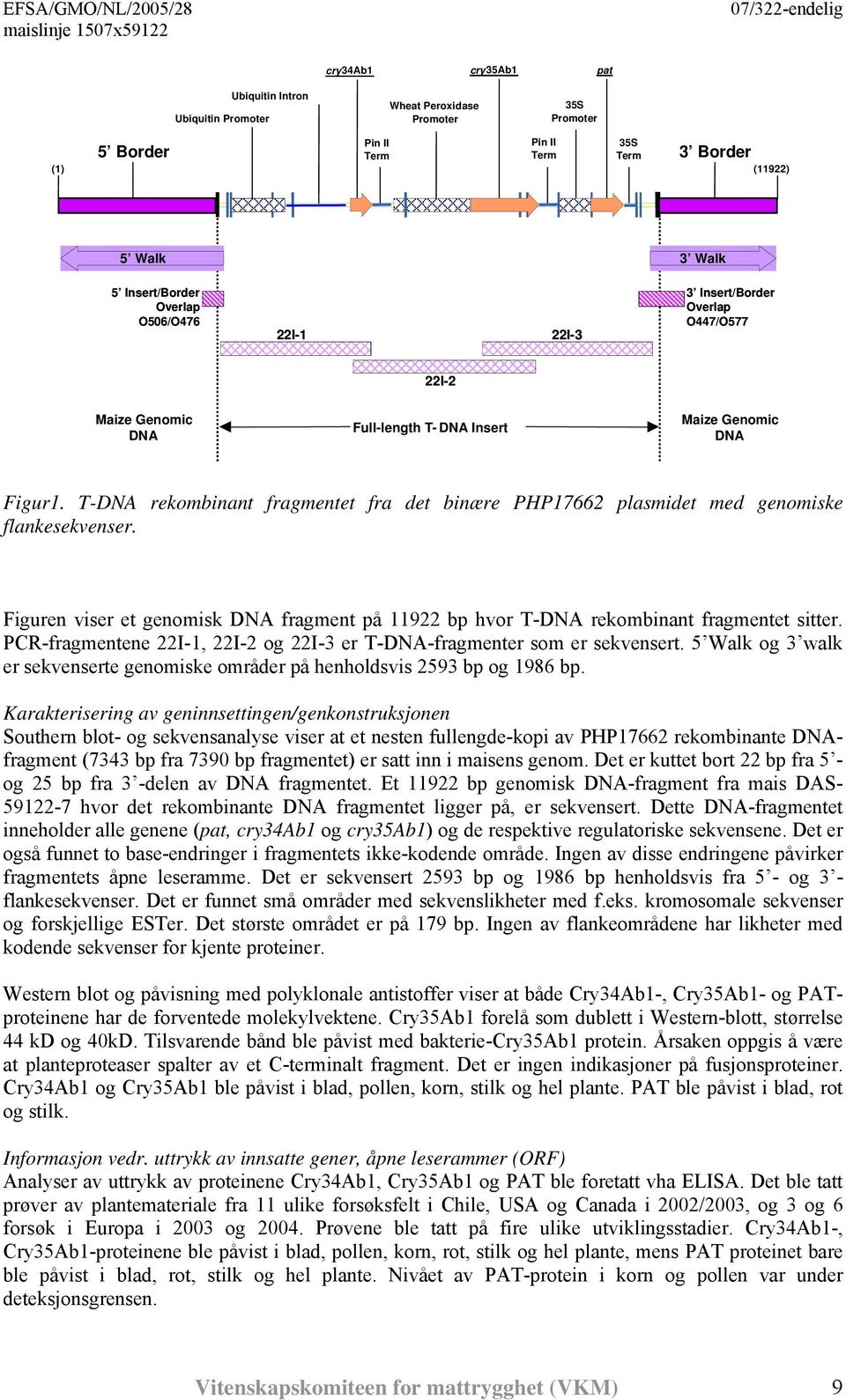 T-DNA rekombinant fragmentet fra det binære PHP17662 plasmidet med genomiske flankesekvenser. Figuren viser et genomisk DNA fragment på 11922 bp hvor T-DNA rekombinant fragmentet sitter.