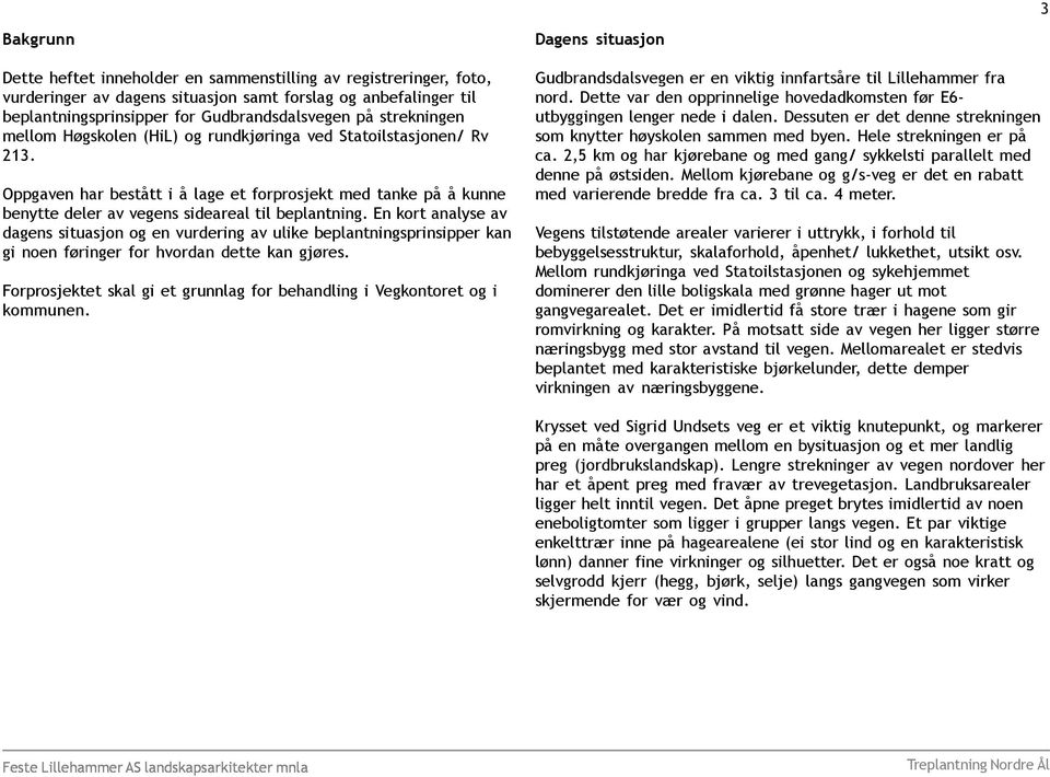 En kort analyse av dagens situasjon og en vurdering av ulike beplantningsprinsipper kan gi noen føringer for hvordan dette kan gjøres.