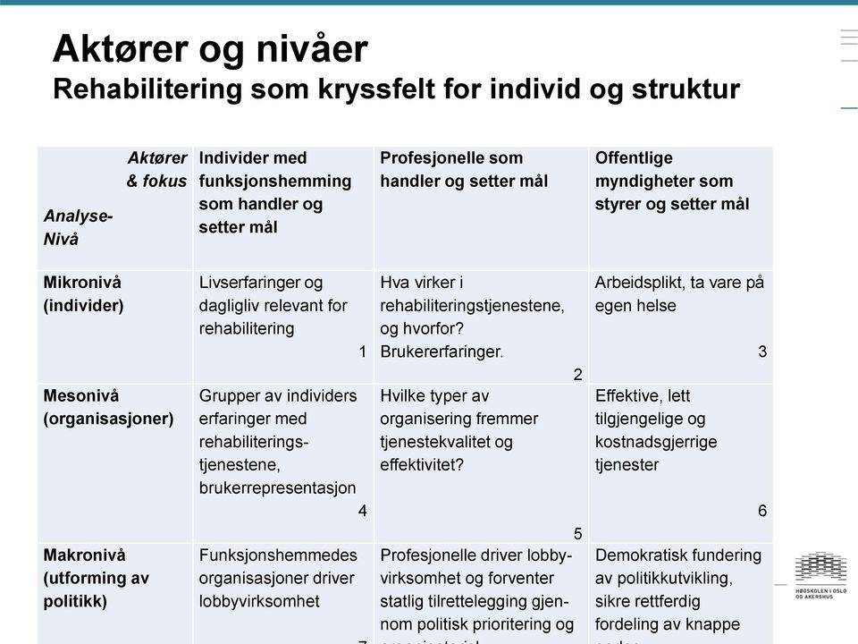 individers erfaringer med rehabiliteringstjenestene, brukerrepresentasjon 4 Funksjonshemmedes organisasjoner driver lobbyvirksomhet Hva virker i rehabiliteringstjenestene, og hvorfor?