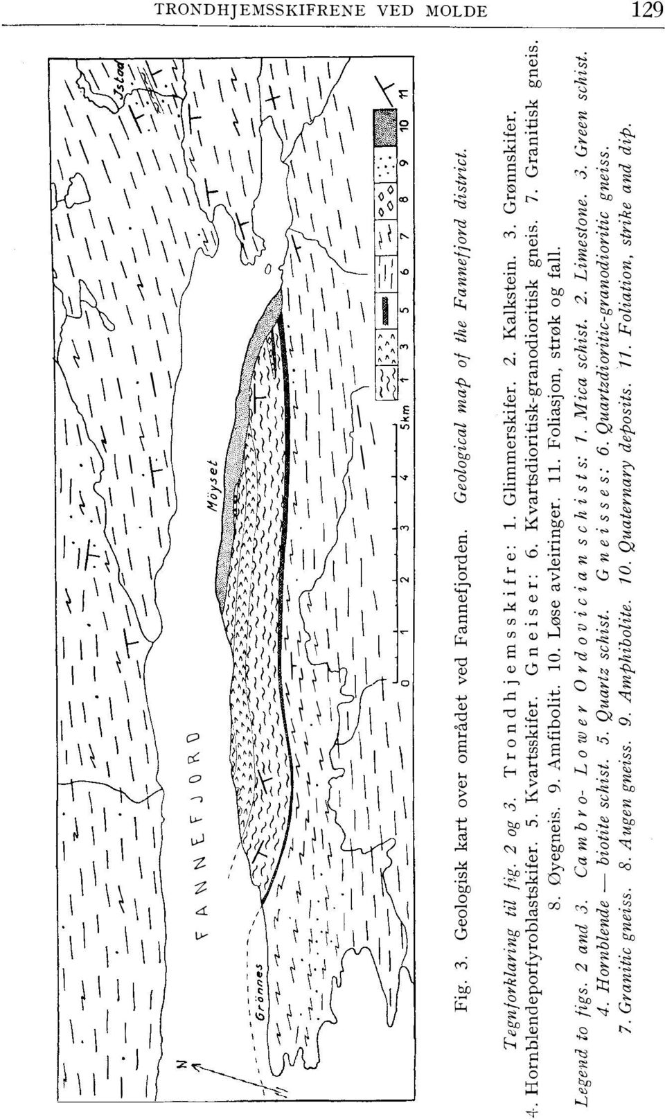 Ca m bro- L o w er Or d o vi c i a n sch is t s: 1. Mica schist. 2. Limes/ane. 3. Green schist. 4. Hornblende- biotite schist. 5. Quartz schist. Gneis ses: 6. Quartzdioritic-granodioritic gneiss. 7.