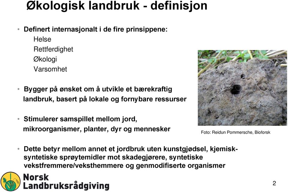 mellom jord, mikroorganismer, planter, dyr og mennesker Foto: Reidun Pommersche, Bioforsk Dette betyr mellom annet et jordbruk