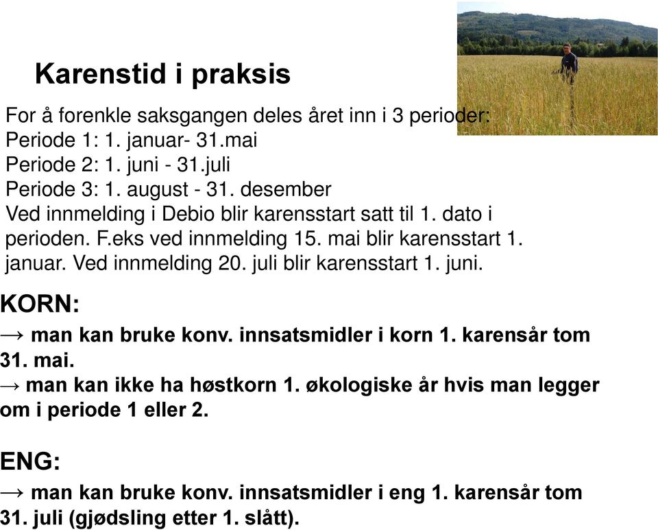 Ved innmelding 20. juli blir karensstart 1. juni. KORN: man kan bruke konv. innsatsmidler i korn 1. karensår tom 31. mai. man kan ikke ha høstkorn 1.