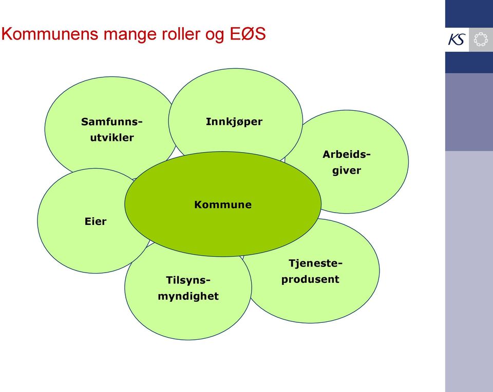 Arbeidsgiver Kommune Eier