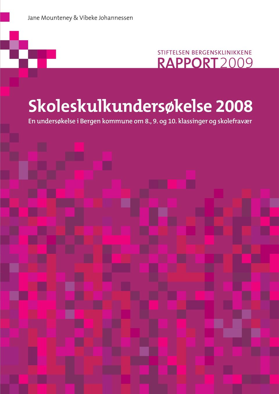 Skoleskulkundersøkelse 2008 En undersøkelse