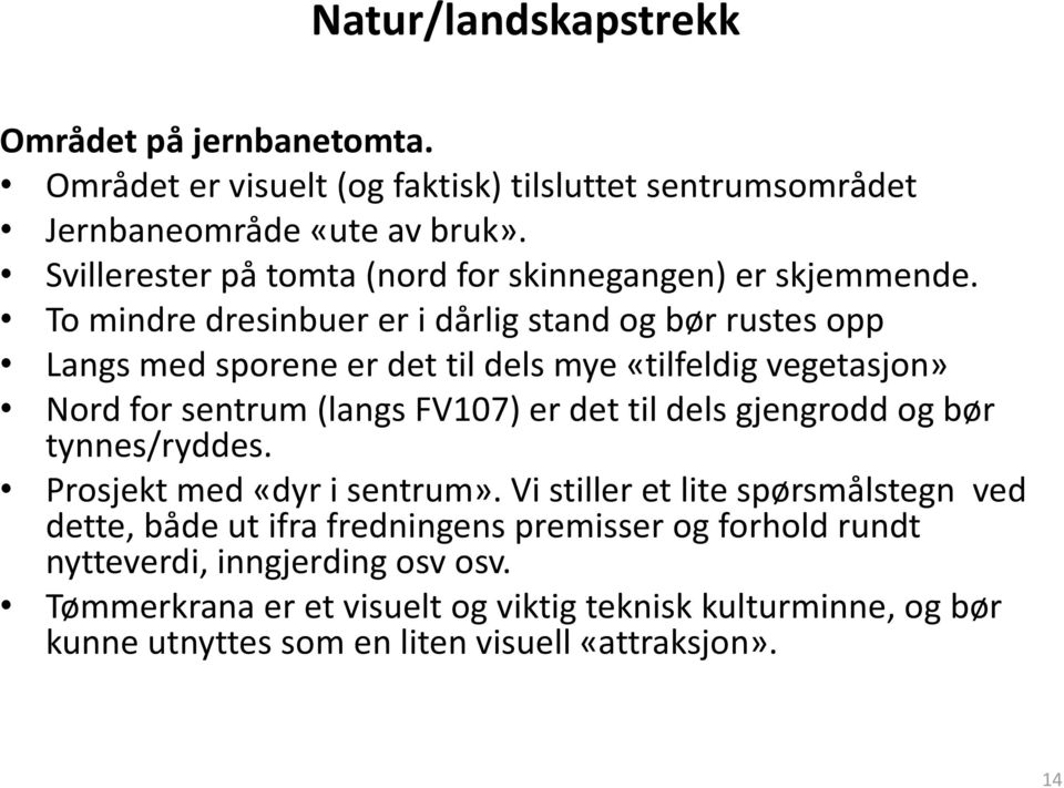 To mindre dresinbuer er i dårlig stand og bør rustes opp Langs med sporene er det til dels mye «tilfeldig vegetasjon» Nord for sentrum (langs FV107) er det til dels