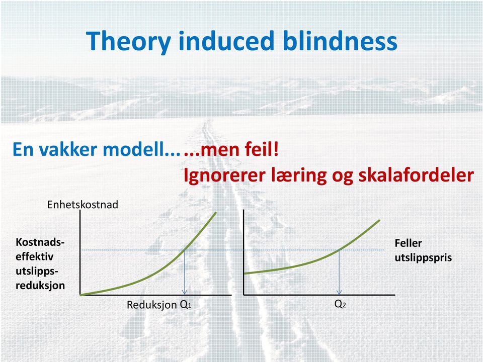 Ignorerer læring og skalafordeler