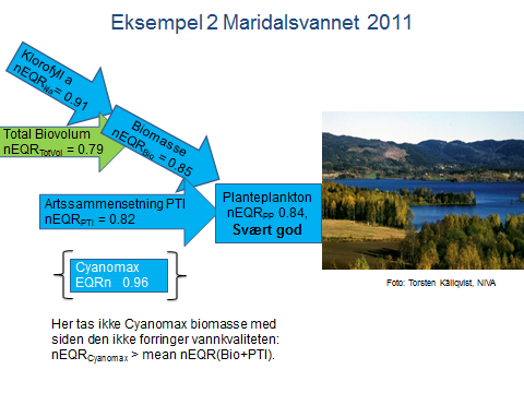 Middelverdi for total fosfor (TP) var 8 µg/l. Med en referanseverdi for denne vanntypen (L-N2b) på 5,5 µg/l (se kapittel 4.