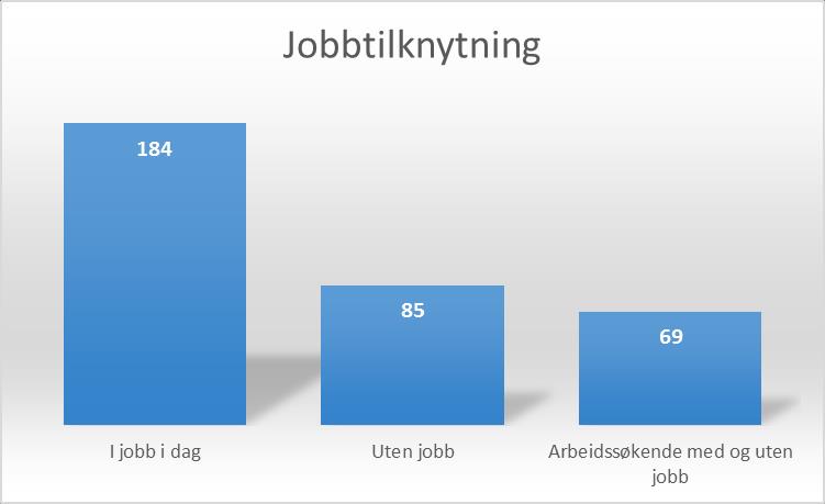 Funn fra undersøkelsen Jobbstatus Jobbtilknytning Andel personer