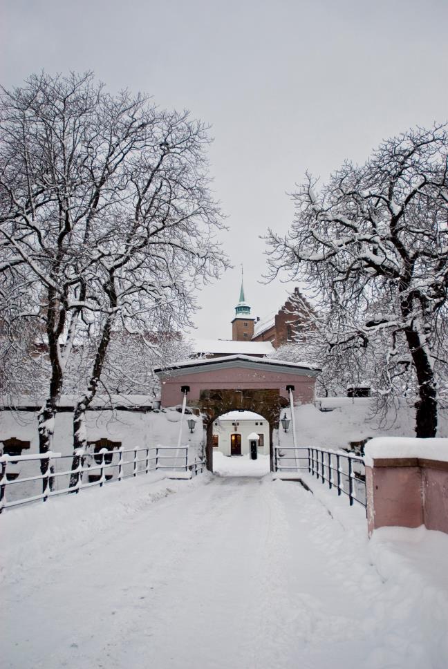 FHS-Alumni Årsberetning