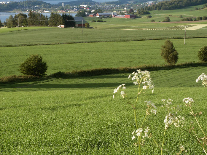 Innherred samkommune Orientering om Innherred samkommune til kommunal- og