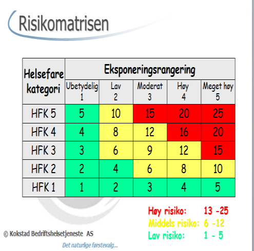 Helse & arbeidsmiljø Kokstad BHT viktig samarbeidspartner Helserisikovurdering