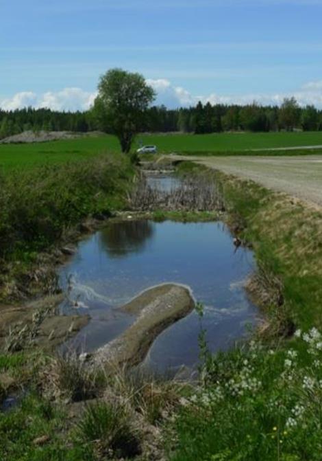 Tiltaket bidrar også til større variasjon i jordbrukets kulturlandskap og legger forholdene til rette for økt biologisk mangfold. Fangdammer krever også vedlikehold. D 6.